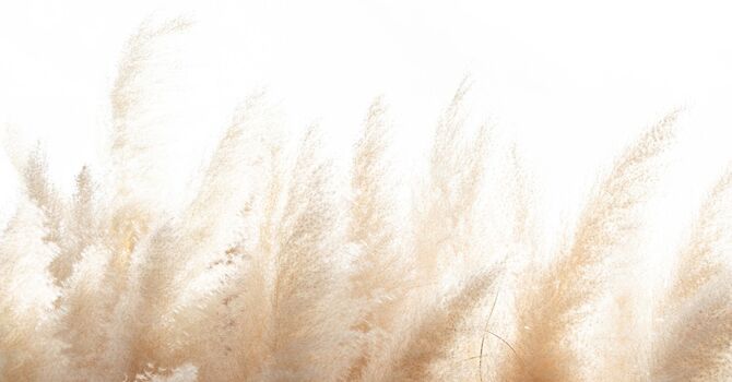 Procrastination and how to work with it image