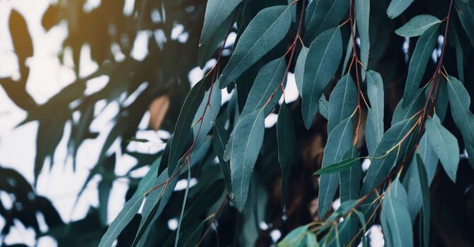 Anxiety Counselling — Finding Calm in Everyday Life image